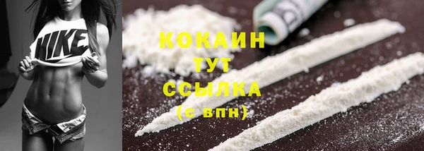 винт Горно-Алтайск